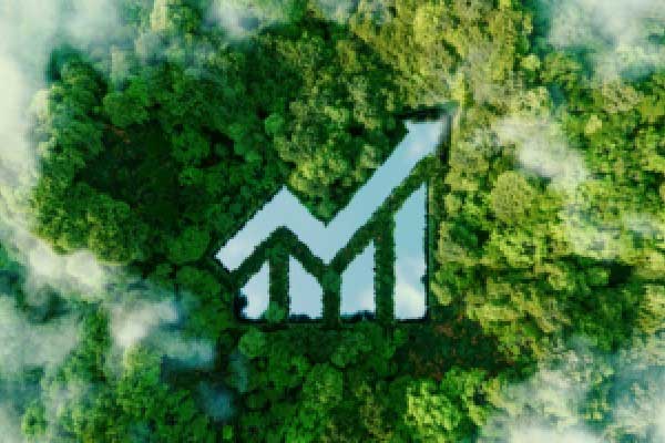 金老虎：黄金玩命蹦极秀深V，避险潮涌金价嗨翻天（周评）